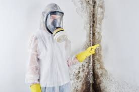 Trusted Bagdad, FL Mold Removal & Remediation Experts